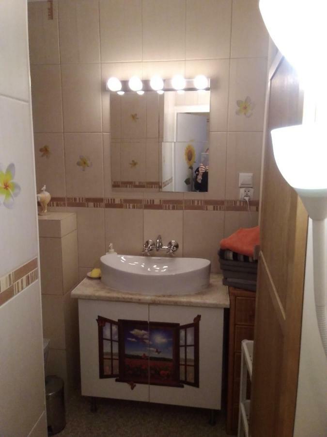 Pod Witrazem Apartment Torun Exterior photo